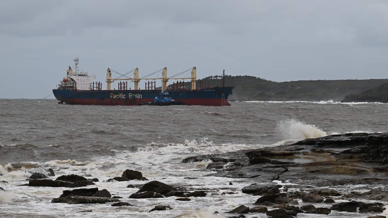 Tug boats are seen around a cargo ship.