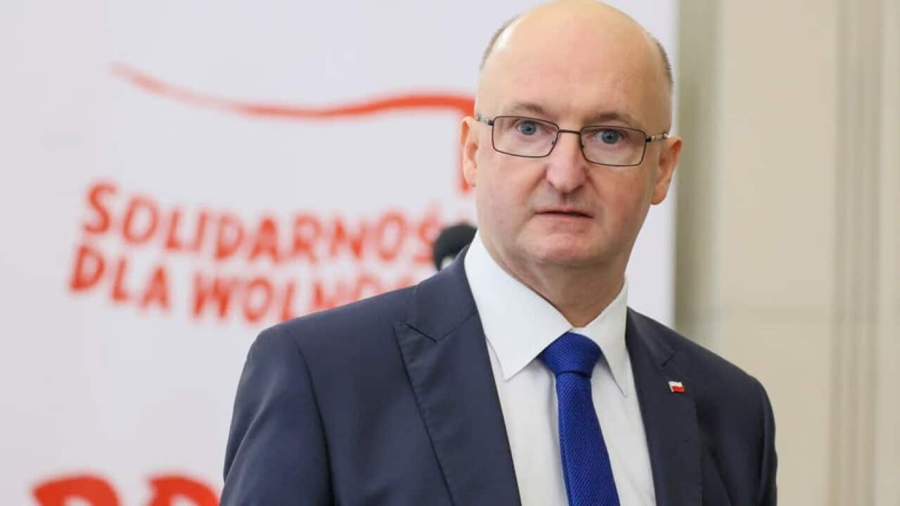 wawrzyk (2).jpg