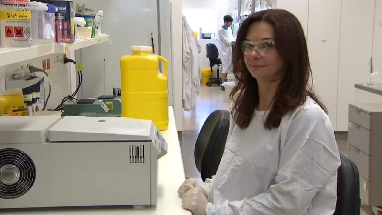 Professor Katherine Kedzierska