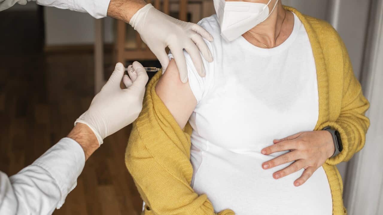 Pregnant woman taking a vaccination