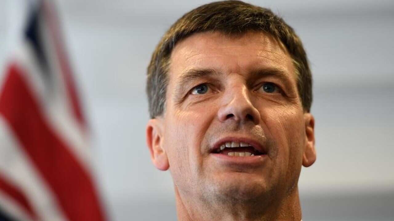 Federal Energy Minister Angus Taylor