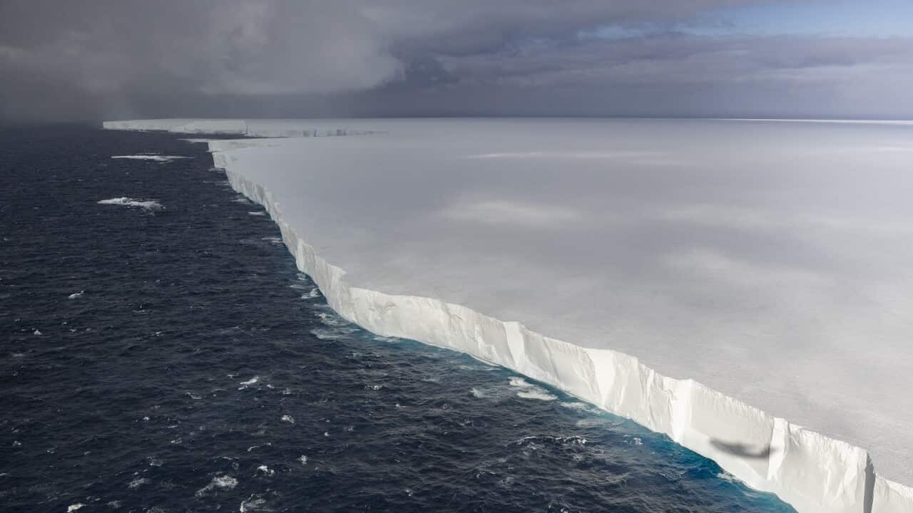 Iceberg A23a in the South Atlantic Ocean near South Georgia and the South Sandwich Islands.