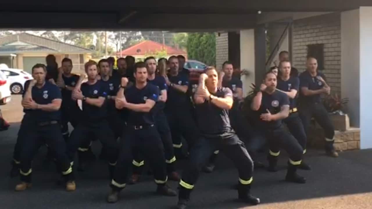 The New Zealand fire crew perform a traditional haka after spending three weeks fighting fires in NSW.
