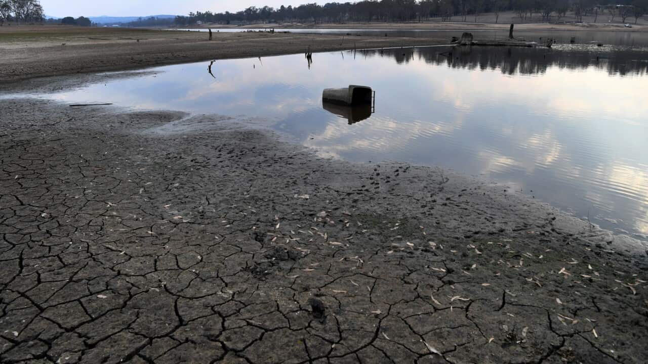 Low water levels and dry land in Queensland