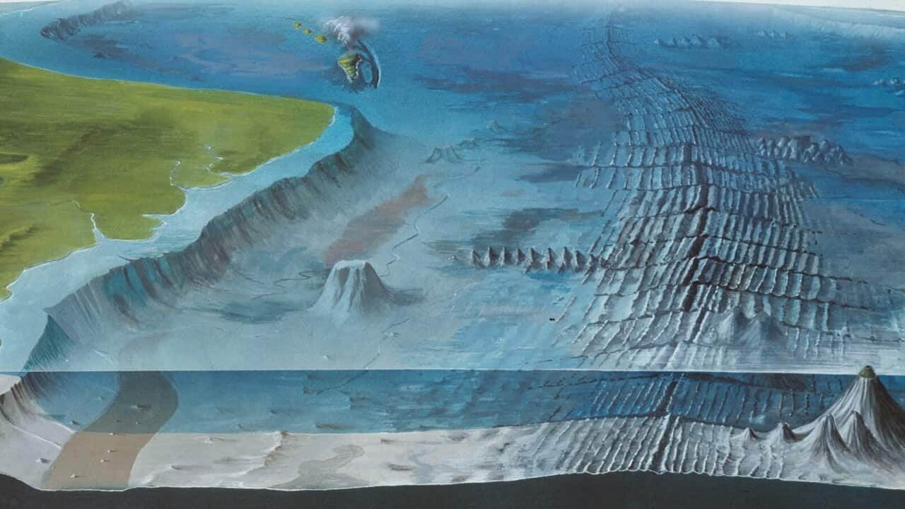 Diagram of the main features of the ocean floor, including an oceanic ridge, island arc and sea mounts.