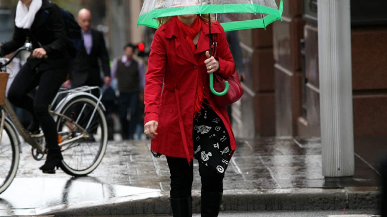 umbrella_wild_weather