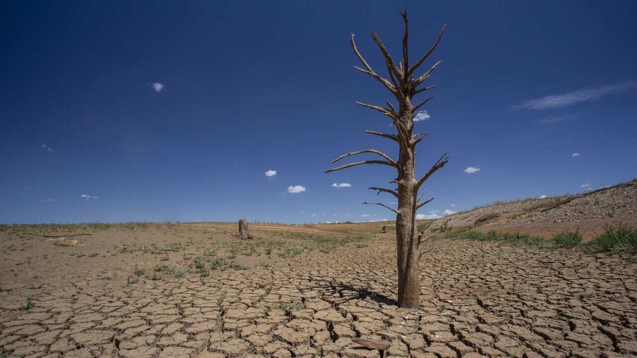 Farmers, doctors, OECD say the Government must address climate change