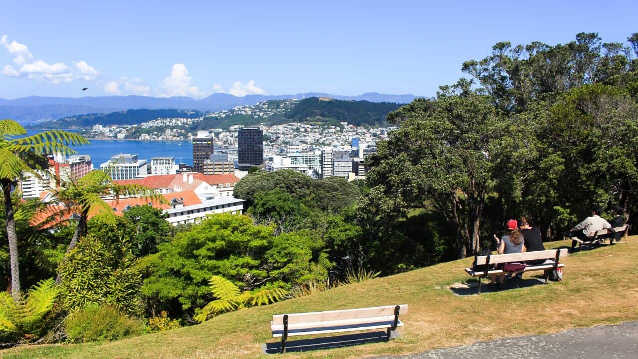 Wellington Skyline