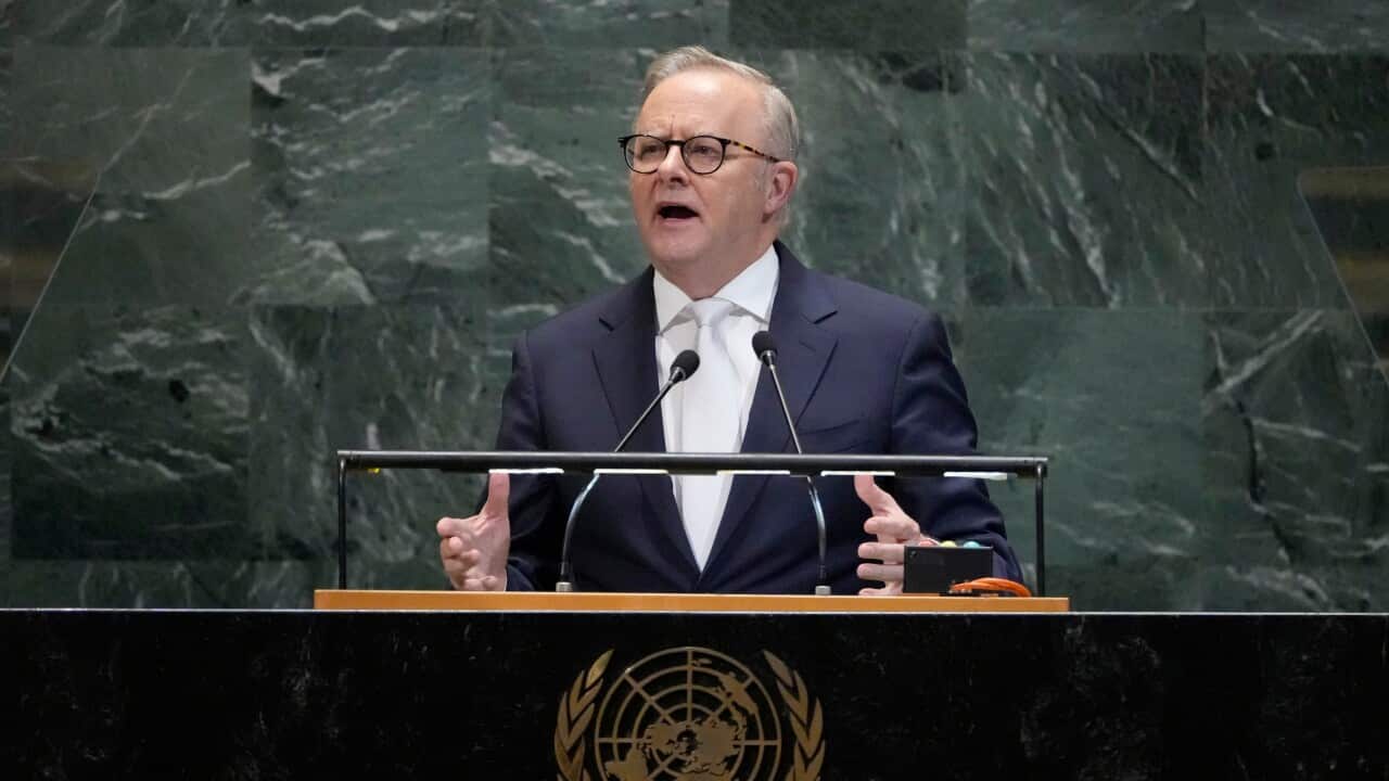 Anthony Albanese