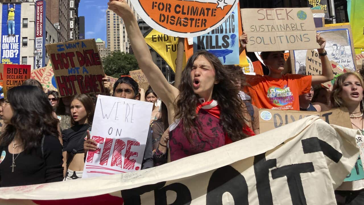 Climate protesters holding placards who are shouting.