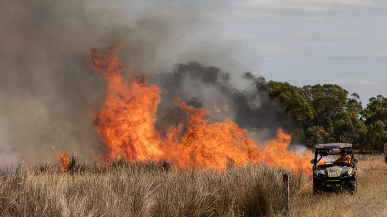BUSHFIRES VICTORIA