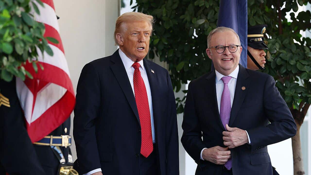 Visiting Australian Prime Minister Anthony Albanese Meets With Trump At The White House