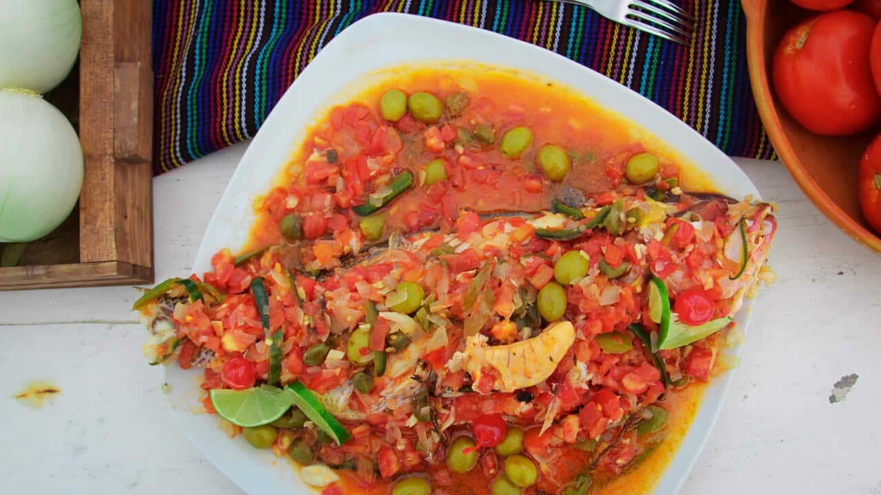 90 /upload/thumbnail1/2025/2/24/211238/thumb2