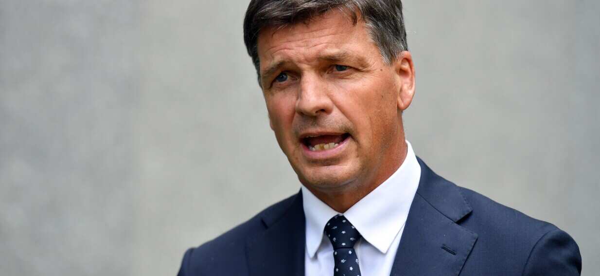 'Standards too low, numbers too high': Refreshed Liberal Party poised for immigration cuts