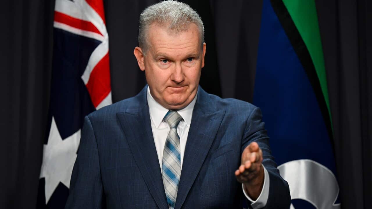 TONY BURKE MINIMUM WAGE PRESSER