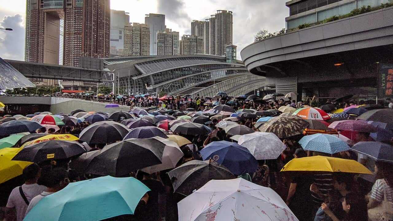 Hong Kong Protesters