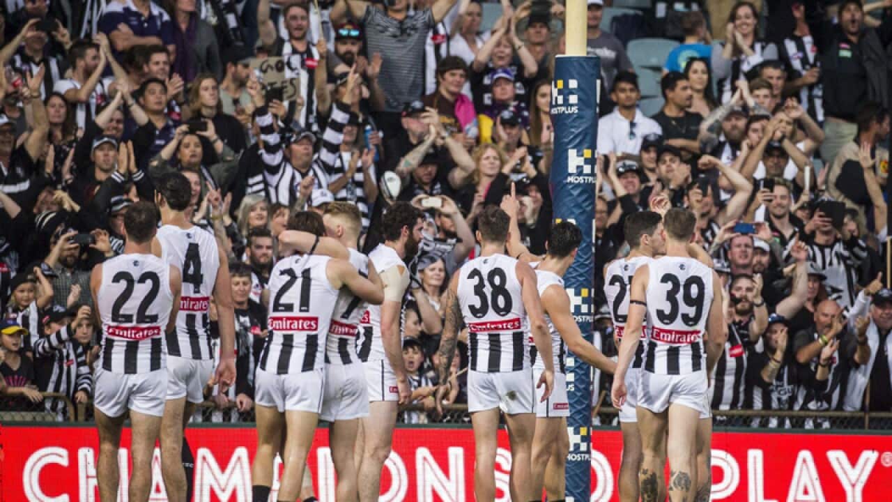 Collingwood players celebrate