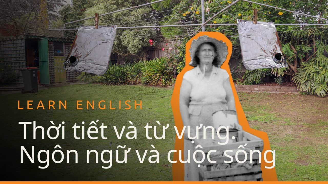 Image for read more article 'Xem thêm các tập phim:'