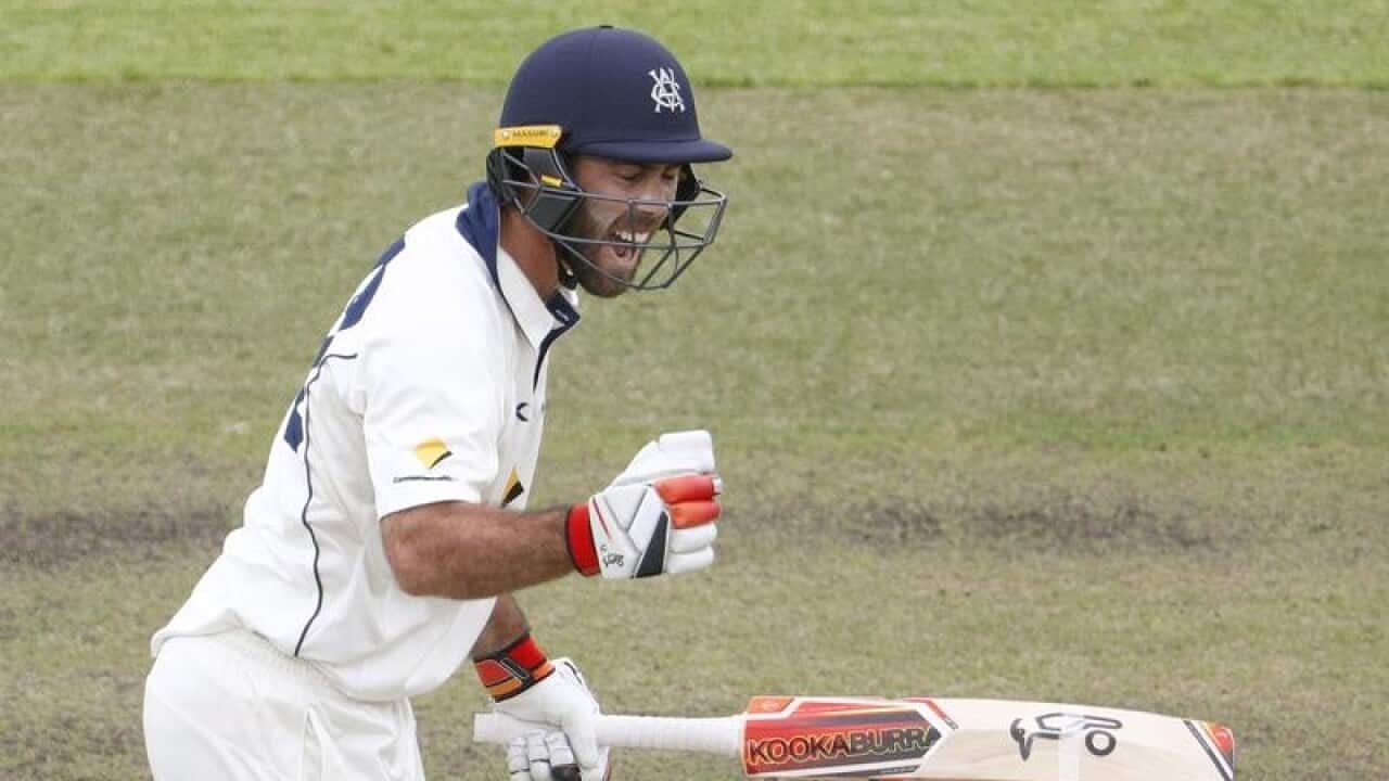 Glenn Maxwell of Victoria reacts after scoring a double century.