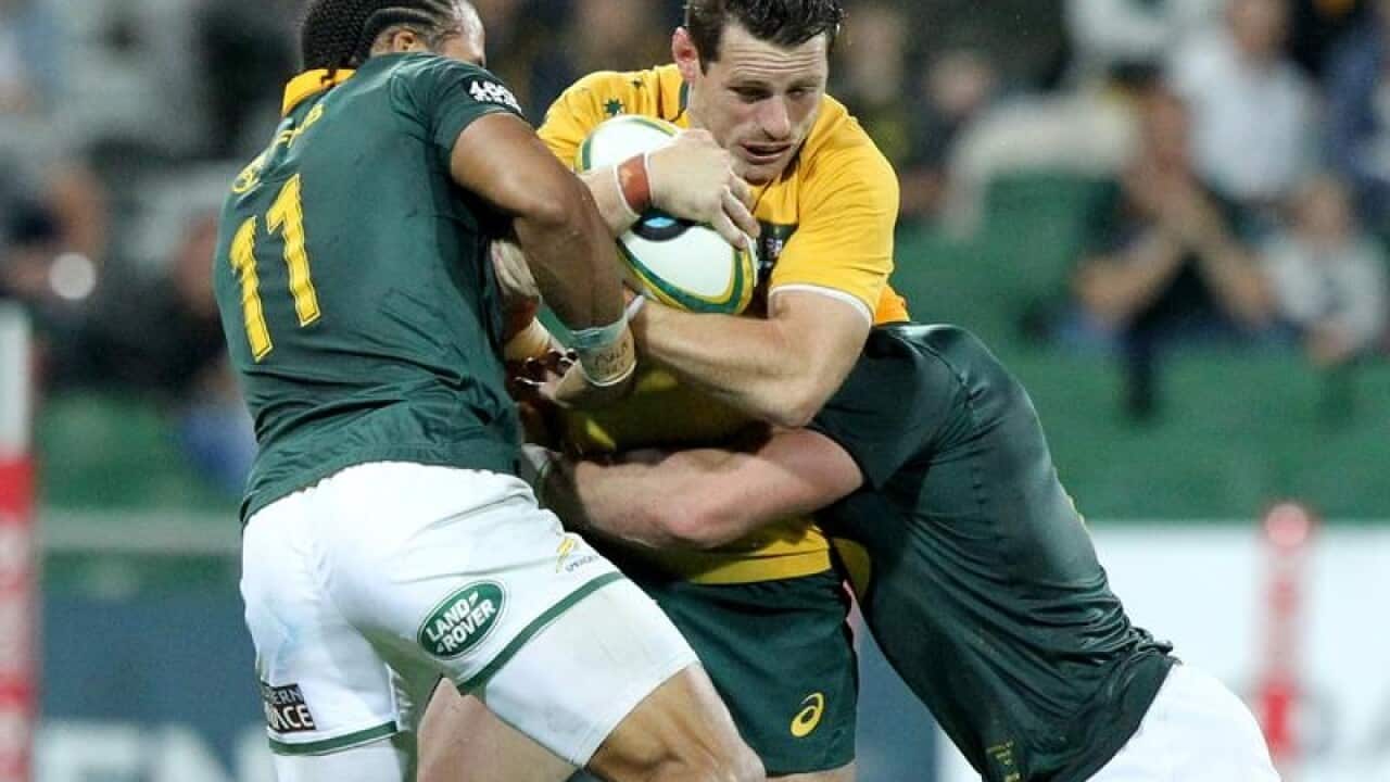 Bernard Foley of the Wallabies