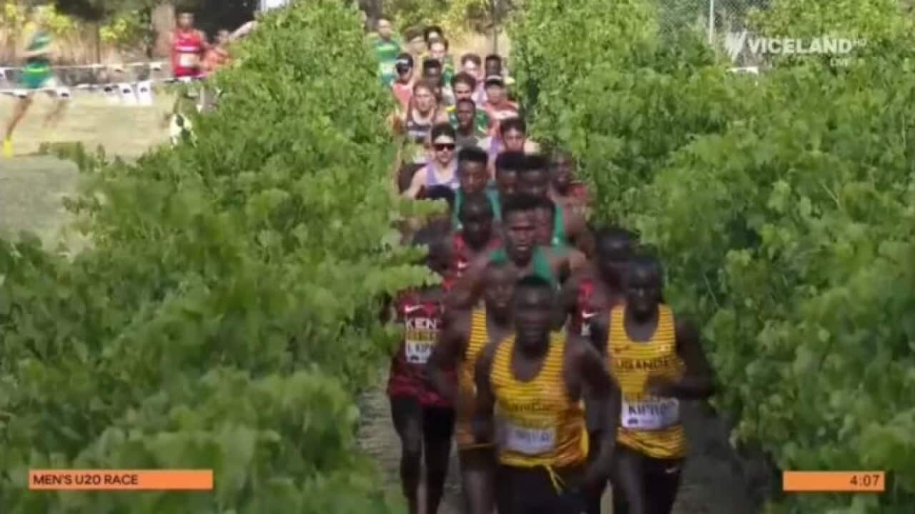 Image for read more article ''