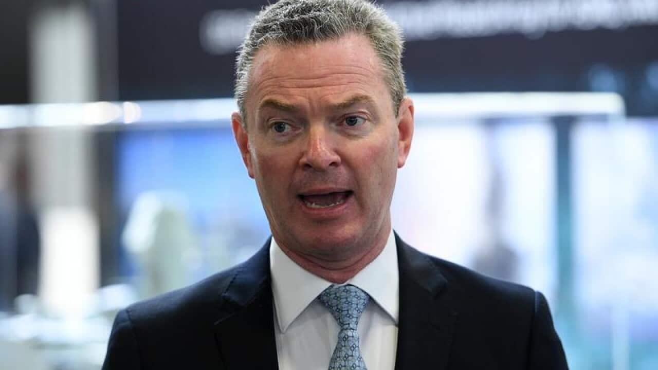Cabinet minister Chris Pyne