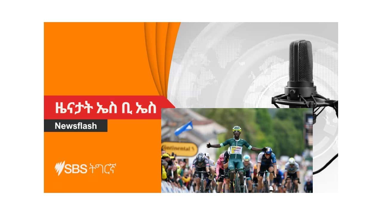 SBS News with Biniam Victory.jpg