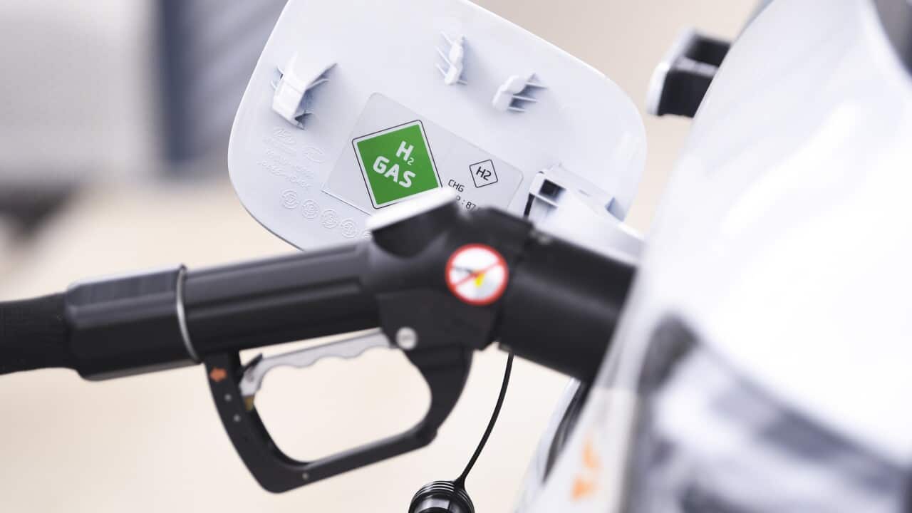 Image for read more article 'READ MORE'