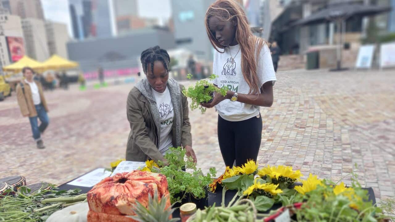 African Farm Showcased at Small Food Festival in Federation Square ... African Farm Showcased at Small Food Festival in Federation Square ...