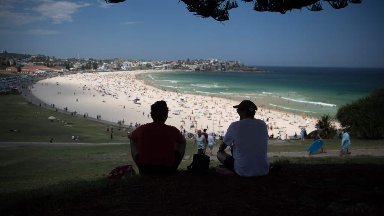 SYDNEY HEATWAVE