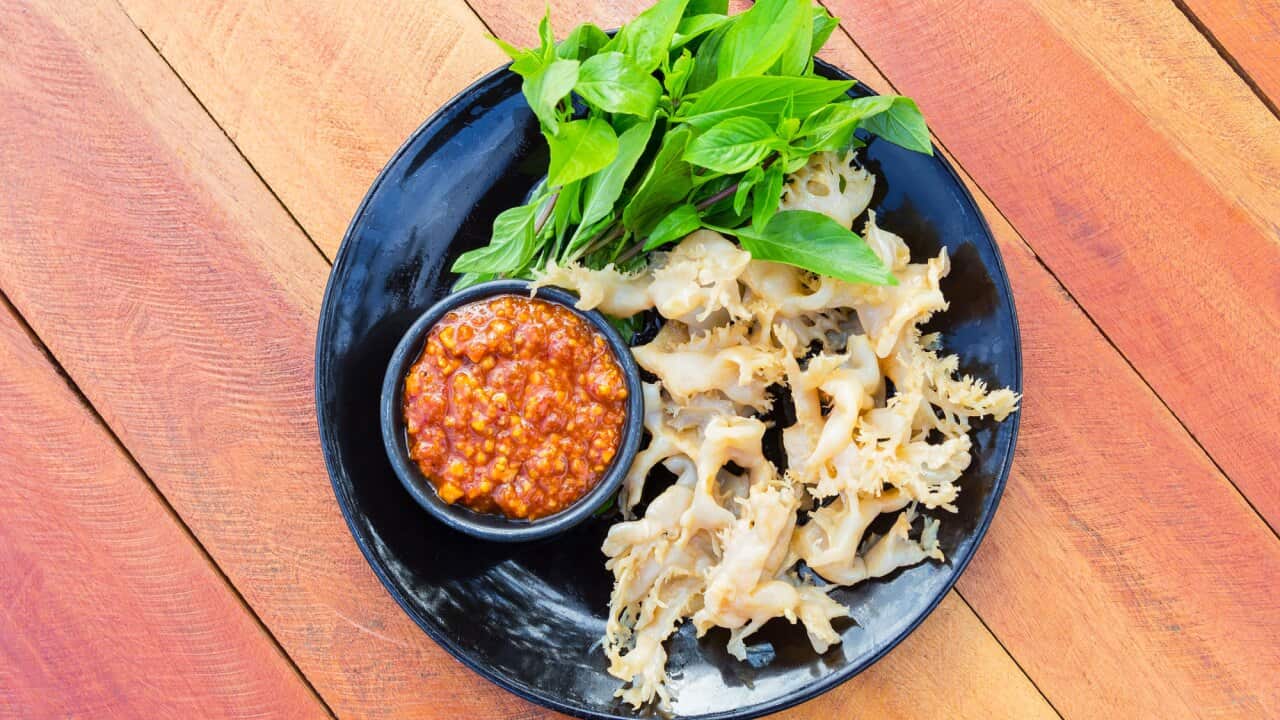 Try jellyfish with peanut dipping sauce. 
