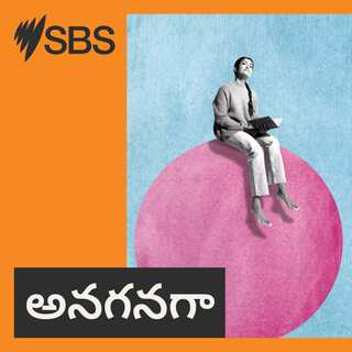 SBS-Podcasts_Telugu Reading Pod_3000x3000px_v1 lady with book.jpg