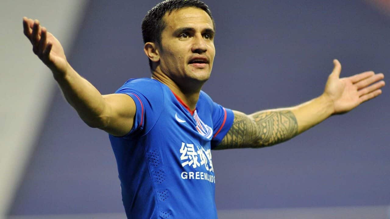 Image for read more article ''