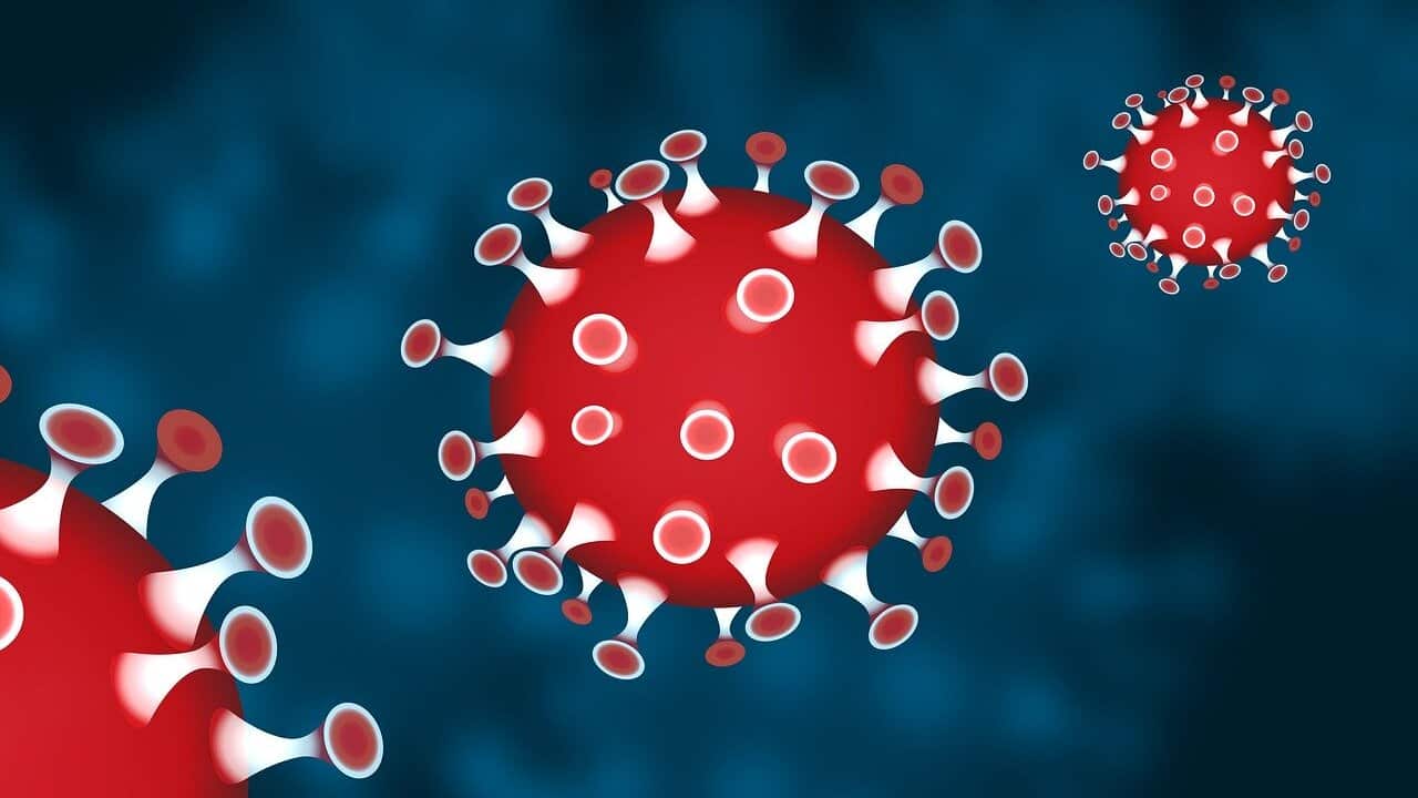 Australia record 61st Coronavirus death and cases jump to 6,313