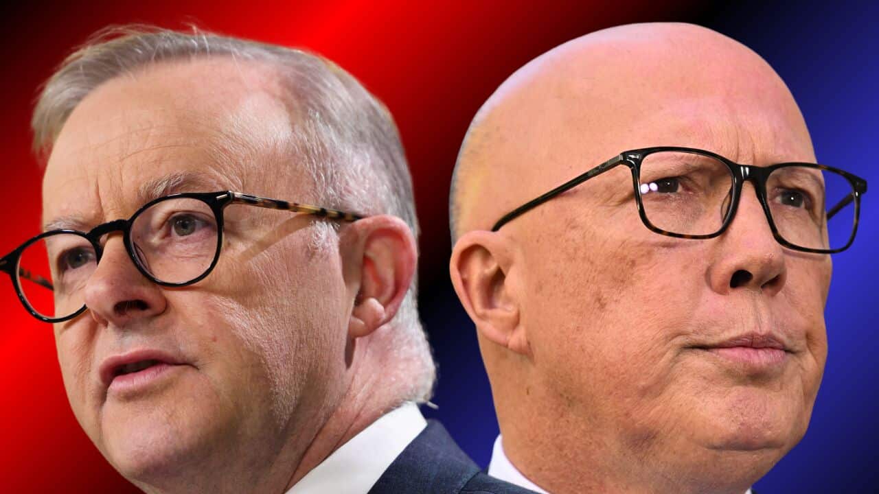 Anthony Albanese