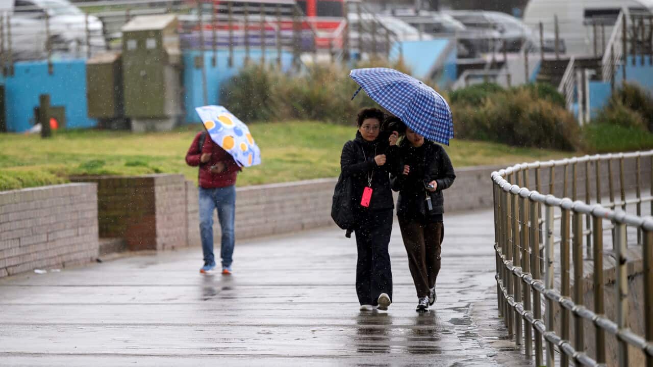 WET WEATHER SYDNEY