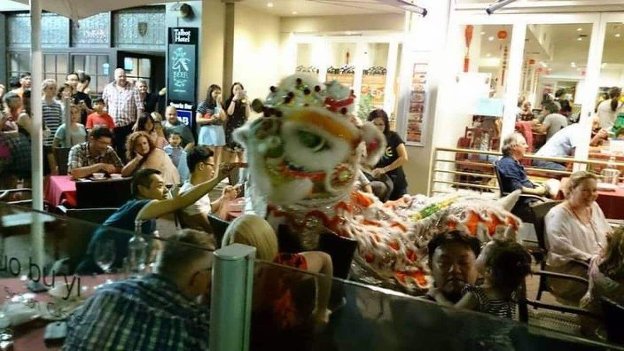 Celebration of Lunar New Year in Adelaide