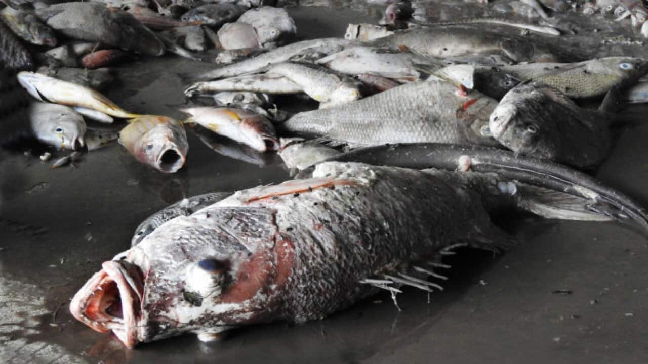 Image for read more article 'Theo dòng thời sự'