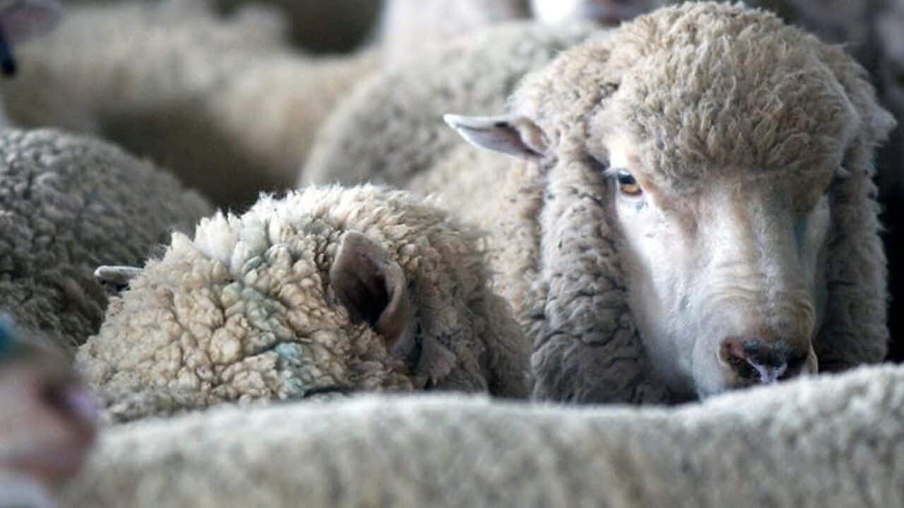 Image for read more article 'READ MORE'