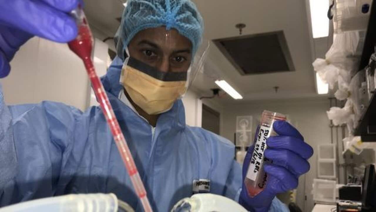 Mtafiti wa malaria, afanya vipimo ndani ya maabara