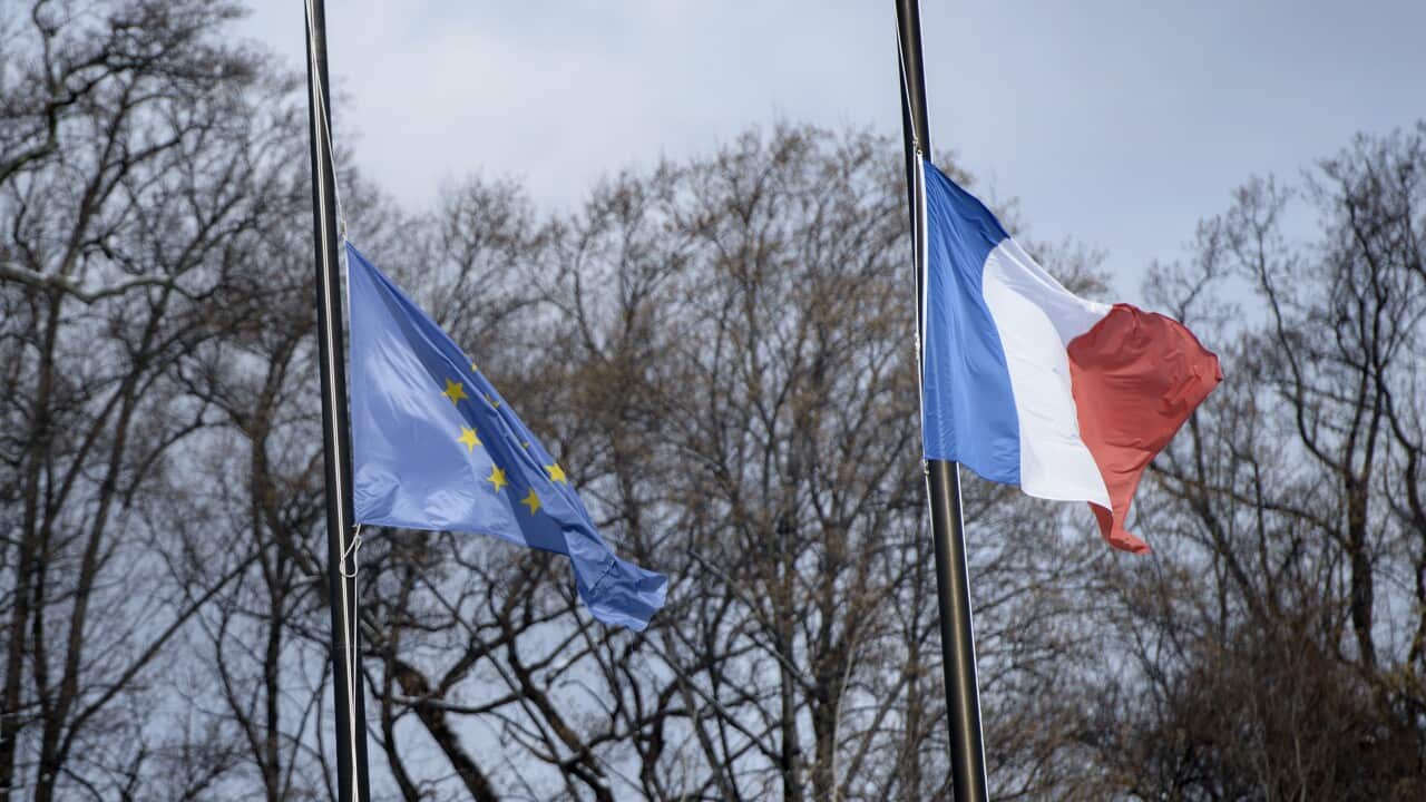 paris_flags.jpg