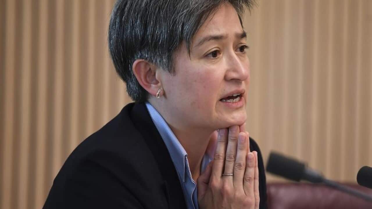 Labor Senator Penny Wong speaks during Senate Estimates.