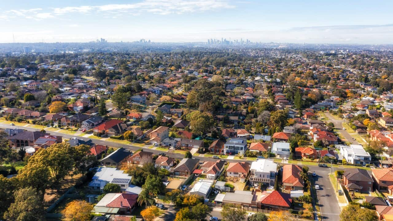 An aerial view of houses in Sydney