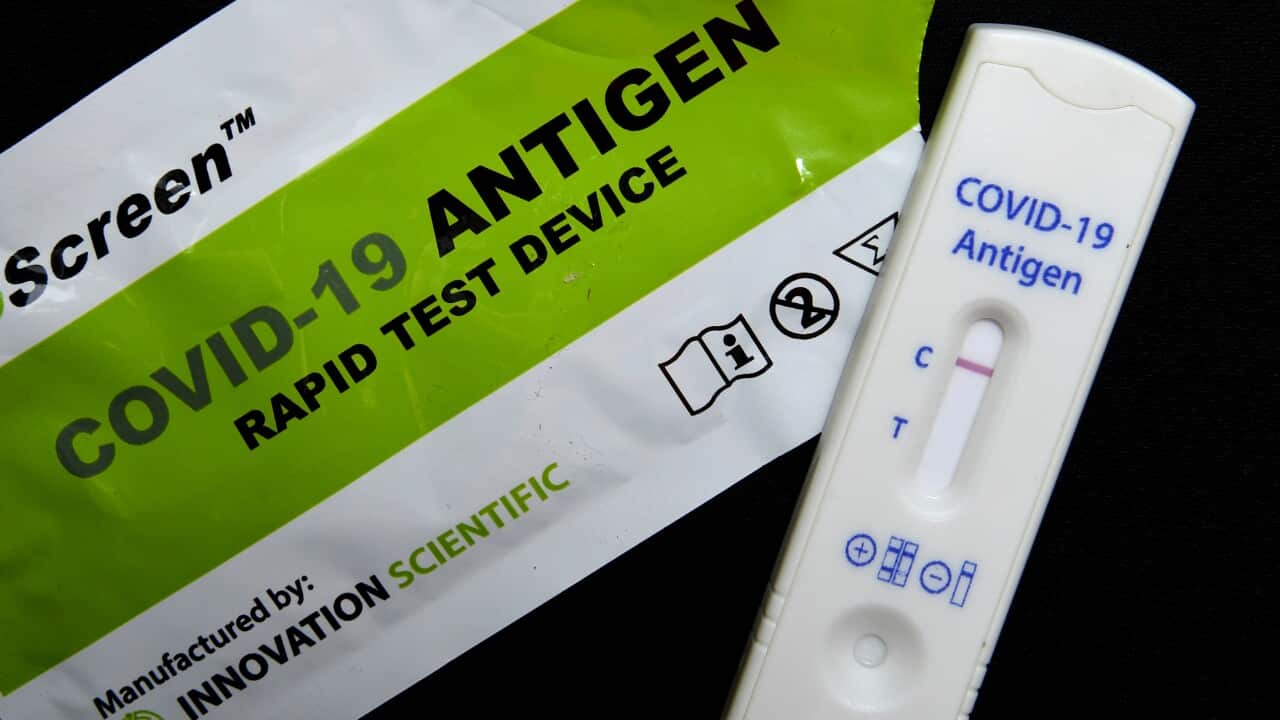 A rapid antigen test showing a negative result