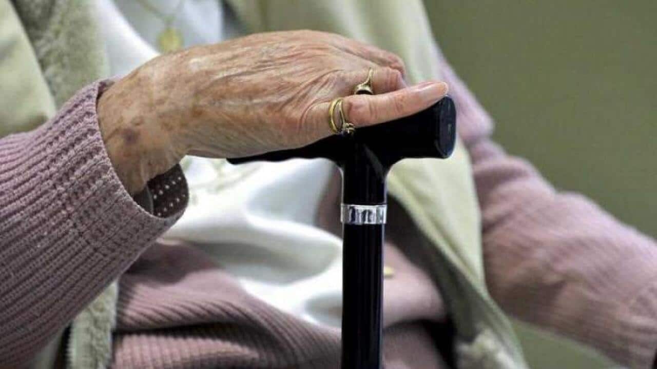 Elder