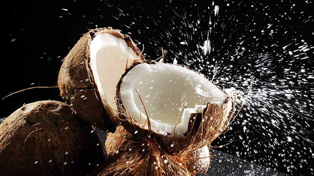 Coconut oil not quite poisonous, but best treated with caution SBS Food