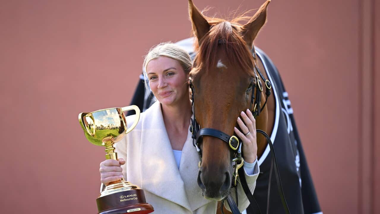 MELBOURNE CUP WINNER PORTRAIT
