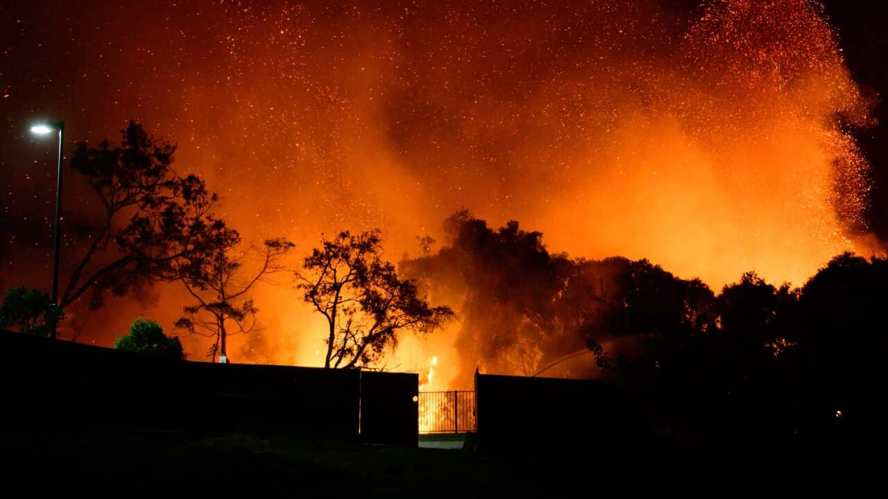 Peregian bushfire