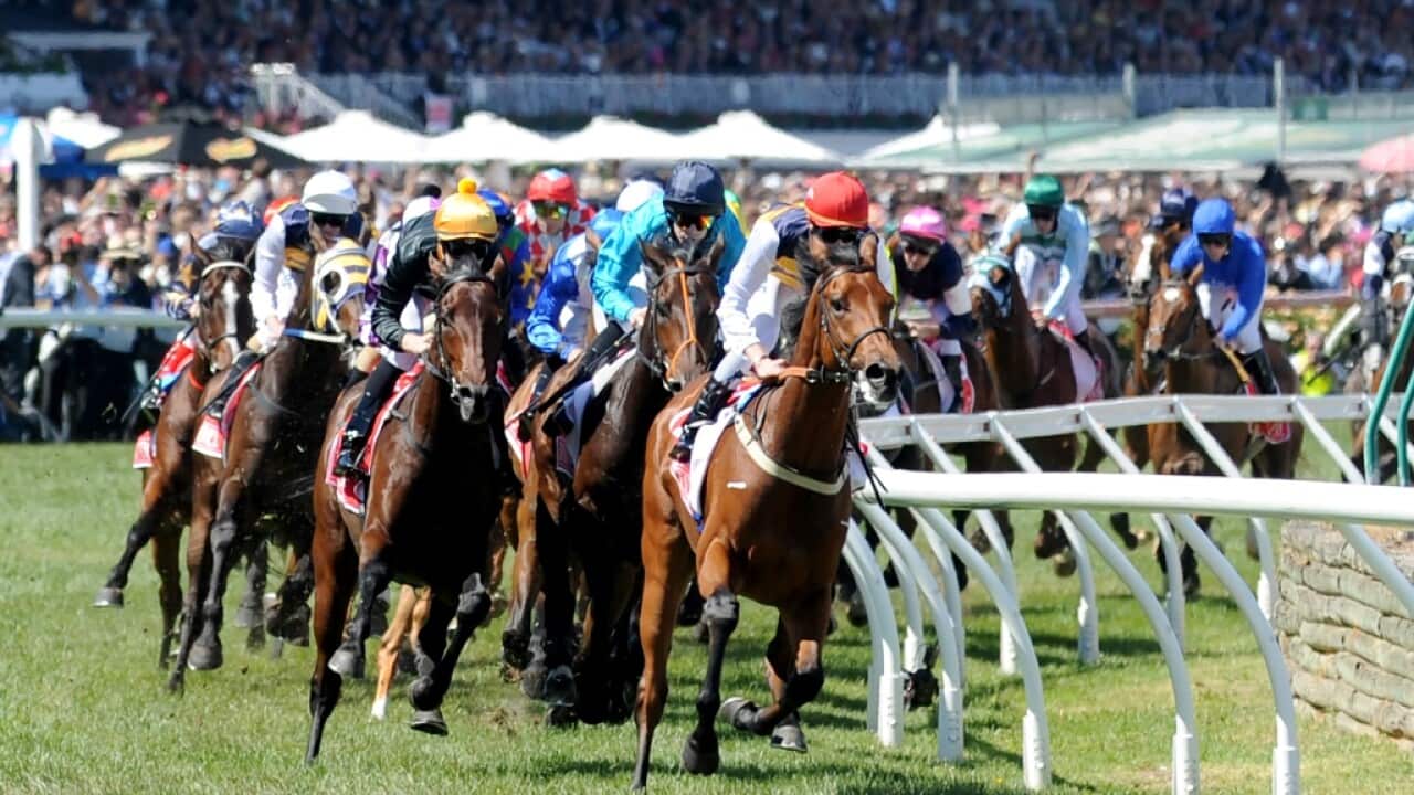 melbourne cup
