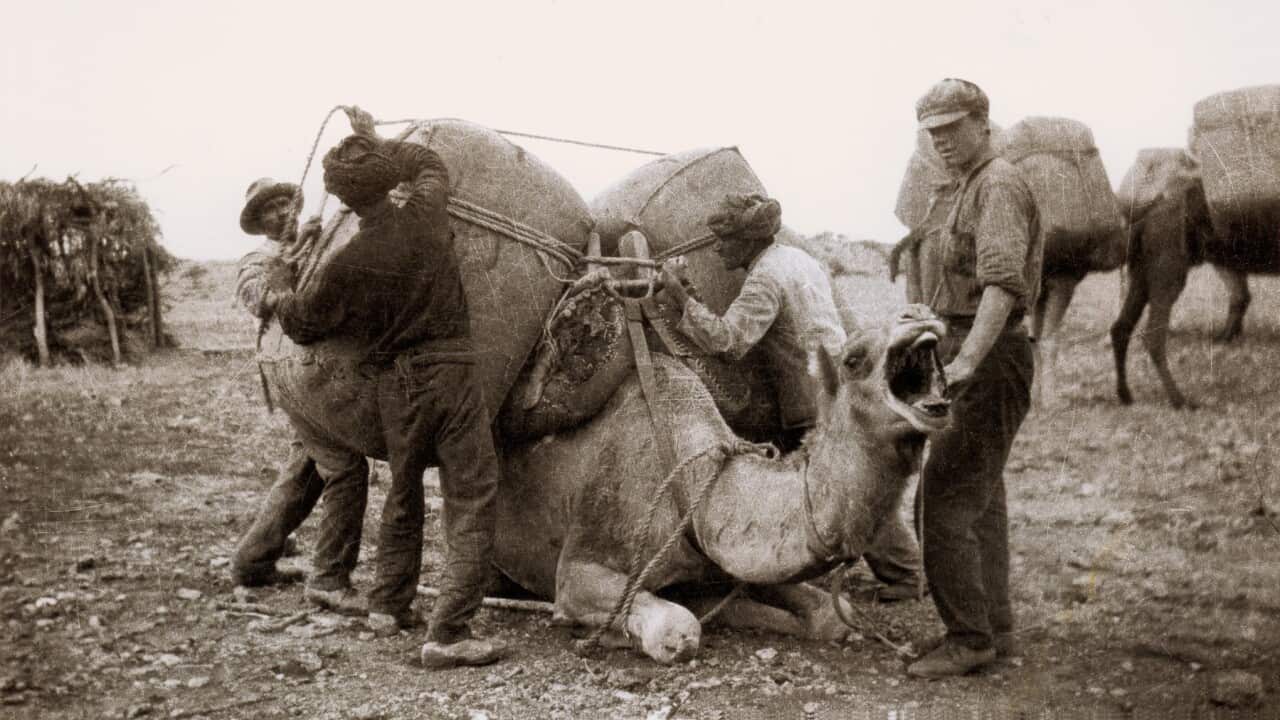 Image for read more article 'READ MORE'